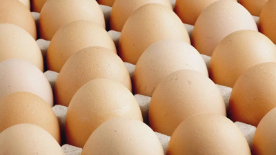 ABD'de yumurta fiyatları düştü!