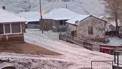 Yaylaya çıkanlar karşılaştıkları manzara karşısında şok oldular! Gözlerine inanamadılar hemen telefona sarıldılar