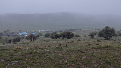 Kurt sürüsü gece vakti Hacıbayram Köyü'nü bastı: 60 kuzu telef oldu