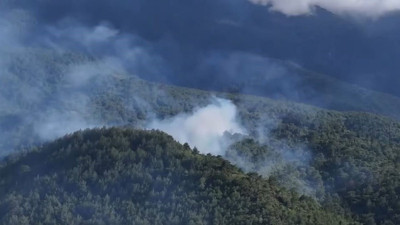 Hatay'da orman yangını