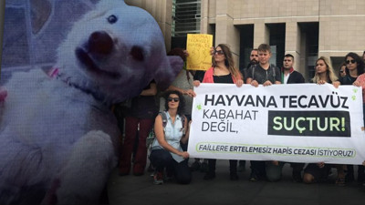 Aksaray'da Maya isimli köpeğe tecavüz! Hukukçulardan 'cezasızlık' uyarısı