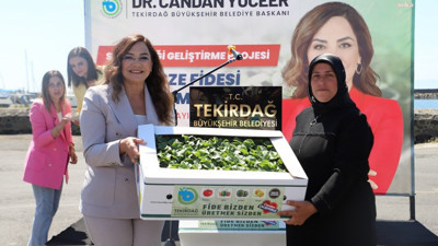 Belediyeden üreticilere fide desteği