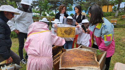 Miniklerden arılar dünyasını keşif!