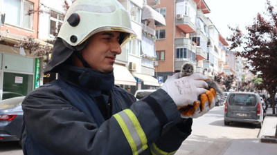Çatıdan düşen yavru martıya itfaiye yetişti!