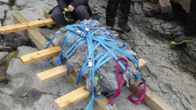 Arkeoloji dünyası sevince boğuldu: 166 milyon yıllık fosil gün yüzüne çıkartıldı