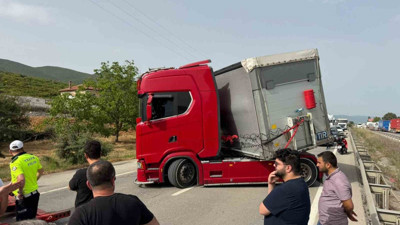 Bir arı yüzlerce kişiyi mağdur etti!