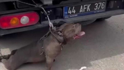Malatya'da pitbull cinsi köpeğin saldırısına uğrayan kadın yaralandı