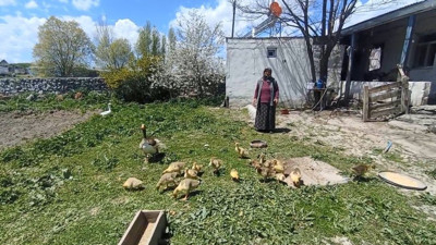 Kış aylarının vazgeçilmezi... Gram altınla yarışıyor