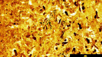 Uzayın esrarengiz misafiri bilim dünyasını hayrete düşürdü