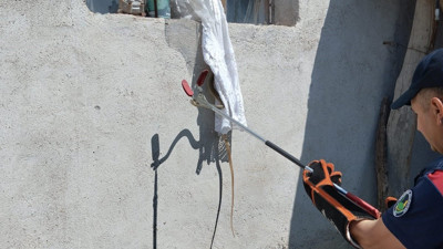 Yılan eve sızdı, ortalık karıştı! Ekipler seferber oldu!