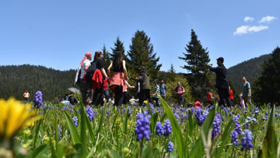Gümüşhane'e doğa şöleni! Sisli yaylalarda kemençe ve horon keyfi...
