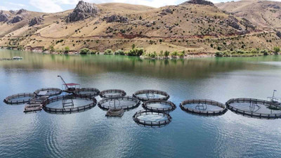 Barajlara kar suyu ve yağmur etkisi! Yüzde yüz seviyesine ulaştı