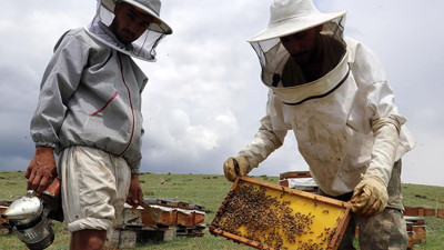 Arıcılara 984,6 milyon liralık destek