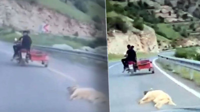 Bu nasıl adalet? Köpeği motosikletle sürükledi, serbest bırakıldı!