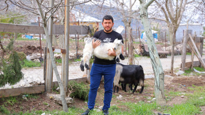 Kahramanmaraş'ta zirai don çareyi başka yere çekti!