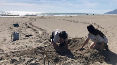 Bu sahillere gece girenler yandı! 557 bin 212 TL cezası var