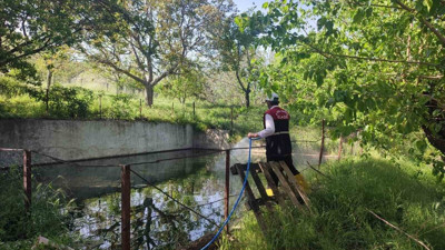 Larva ile mücadele çalışmaları devam ediyor