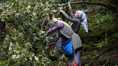 Karadeniz’in lezzeti Brezilya’da