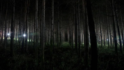 Bartın’da ormandan gelen çığlıklar geceyi yardı! Gerçek ne?: Polisler gördüklerinde şok oldu