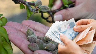 Zirai don üreticileri vurmuştu! Destek ödemeleri başlıyor