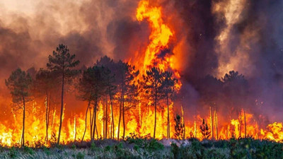 Orman yangınlarına karşı önemli karar: O tarihlerde girişler yasak