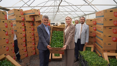 Bilecik Belediyesi son 3 yılda 1 milyon 700 bin fide dağıttı