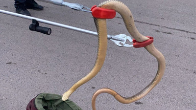 Gümüşhane'de otomobilin tekerleğine sıkıştı! İtfaiye anında devreye girdi