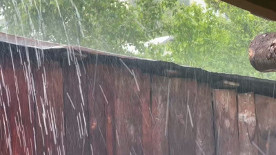 Artvin'i dolu vurdu! Meyve ve ekinler zarar gördü