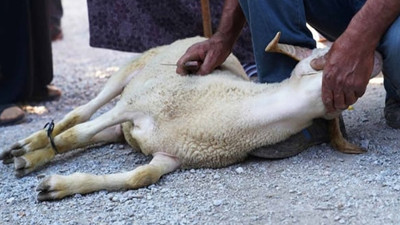 Kurban keserken dikkat! Hapis riski var
