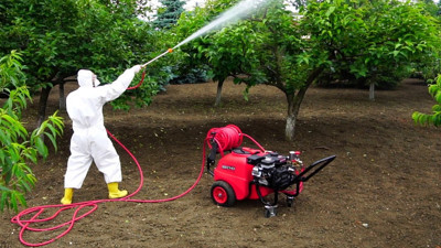 Çiftçinin kabusu oldu! İstilası durdurulamıyor