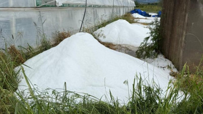 Sağanak ve dolu seraları vurdu! Camlar kırıldı, ürünler zarar gördü