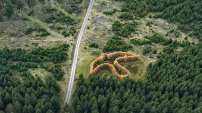 Yeşil sanat devrimi! Doğanın fırçası