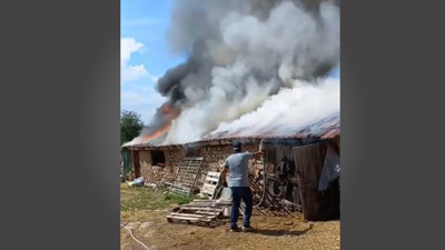 Kabusu fareler başlattı! Alevlere teslim oldu