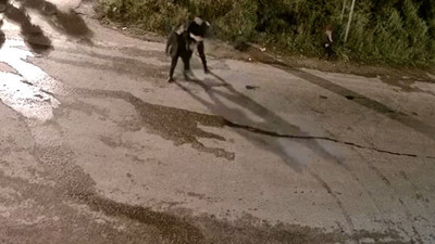 Köşk’te silahlı kavga! Görüntüler tüyler ürpertti