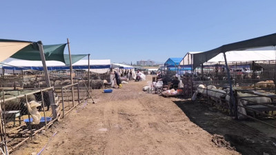 "Emekli maaşı ve ikramiye ancak bir kurbanlık eder, bir ay da taş yeriz herhalde"