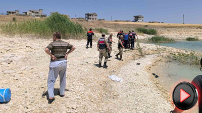 Fedakârlık ölümle bitti! Yeğenini kurtarmaya çalışıyordu