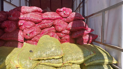 Tonlarca kaçak avlanan midye ele geçirildi!