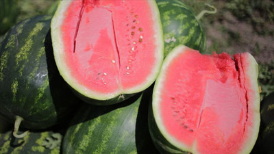Karpuz Seçmenin Püf Noktaları: En Tatlı ve Sulu Karpuzu Bulmanın Yolları!