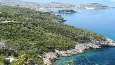 Nesli tehlike altındaydı... Kuşadası’nda görüntülendi