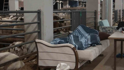 Koyunlarla ’koyun koyuna’ nöbet