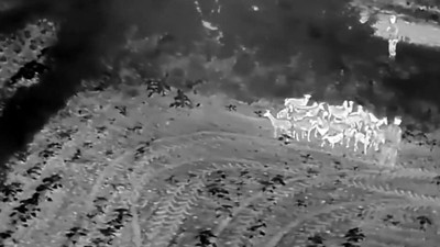 Jandarmadan gece operasyonu