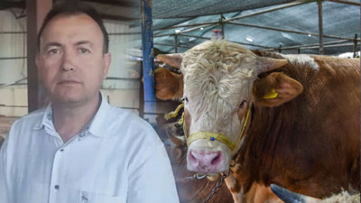 Kurban pazarında ölüm! Fotoğraf çekmek isterken canından oldu