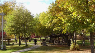 Görünmez tehlike doğada gezerken can alıyor. Sesizce geliyorlar zamk gibi yapışıyorlar