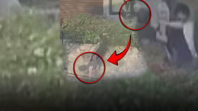 Doktordan kadın komşusunu duvardan uçurtan yumruk! Gözüne 12 dikiş atıldı kemikleri kırıldı