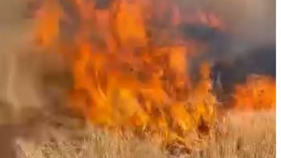 Buğday tarlaları alev alev yandı