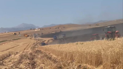 Siirt’te 350 dönümlük buğday tarlası küle döndü