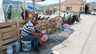 Besiciler Kurban Bayramı satışlarında umduğunu bulamadı