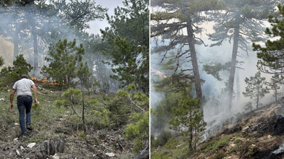 Denizli'de çıkan orman yangını söndürüldü