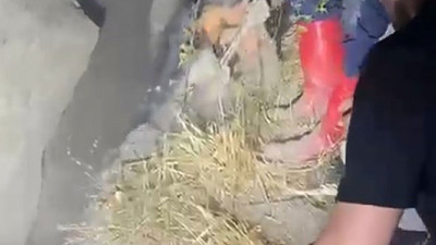 Heyelan bölgesindeki çukura düşen çocuk yaralandı