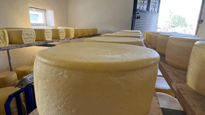 Eski kaşar nasıl üretiliyor? Tadıyla büyülüyor, Kars’ın altın lezzeti!
